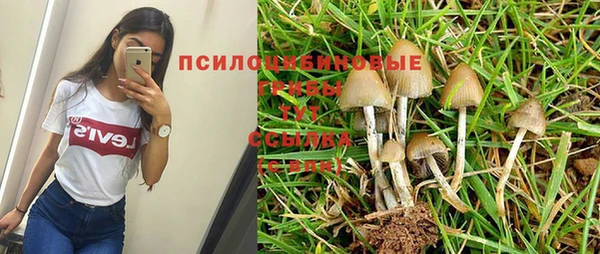 экстази Осинники